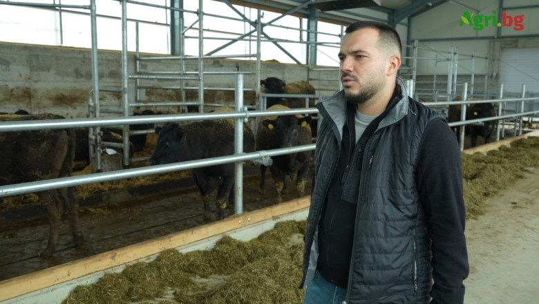 Как се създава kaчествено Wagyu: репортаж от фермата Elena Wagyu Как се създава kaчествено Wagyu: репортаж от фермата Elena Wagyu image
